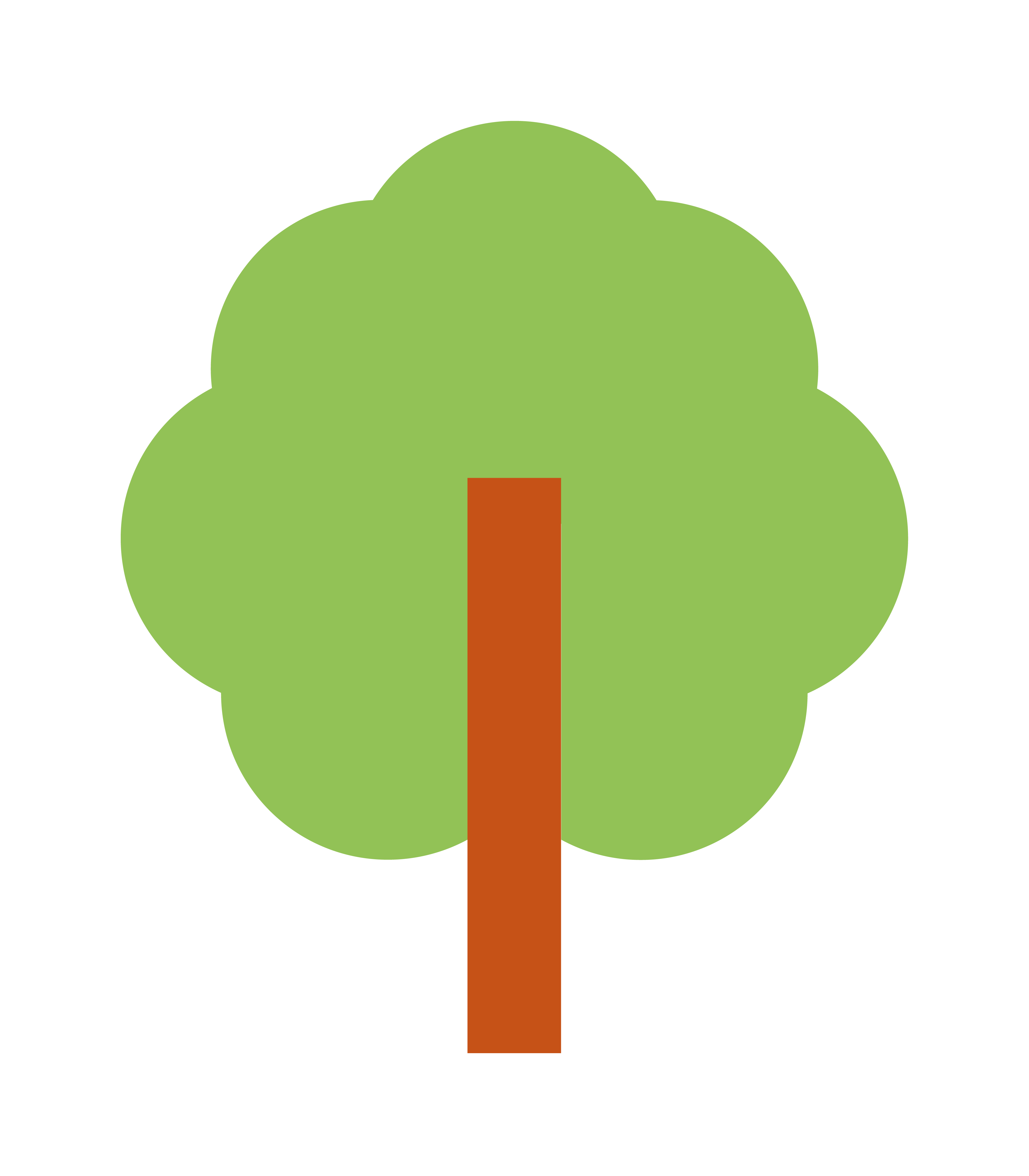 Produção de cacau de qualidade