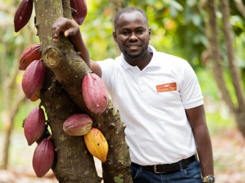 man standing on cocoa pods